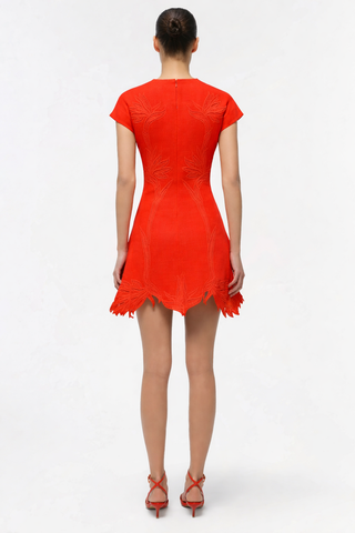 Red dress on a white background