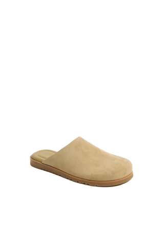 Beige slipper on a white background