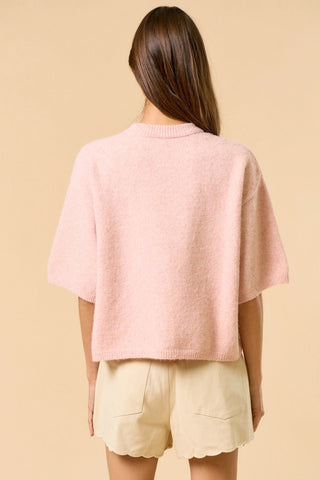 Sweater Sleeve Top in BlushTopChayse Clothing